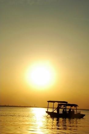 上海大观园旅游博客_上海大观园自由行博客