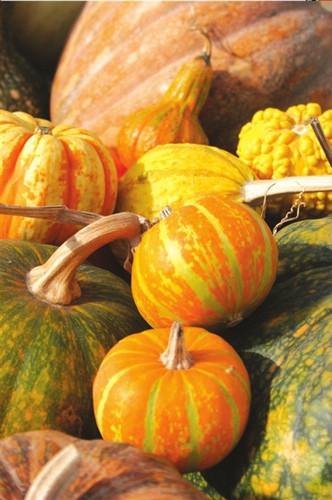 通州区热门景点推荐_通州区热门旅游景点介绍