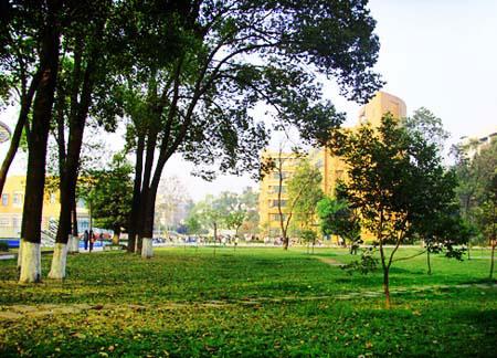 成都市热门景点推荐_成都市热门旅游景点介绍