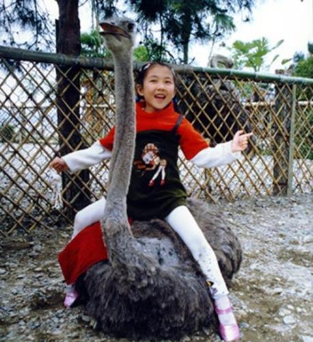浙江千岛湖热门景点推荐_浙江千岛湖热门旅游