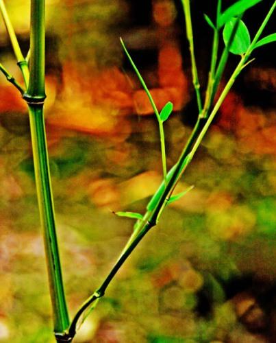 连云港旅游_连云港旅游攻略_连云港旅游景点