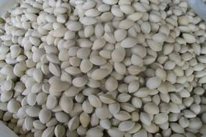 宿迁旅游_宿迁旅游攻略_宿迁旅游景点介绍_宿