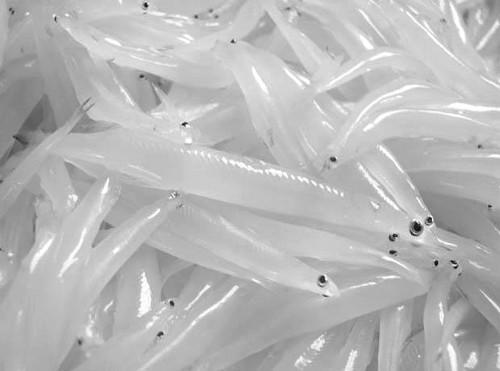 宿迁市热门景点推荐_宿迁市热门旅游景点介绍