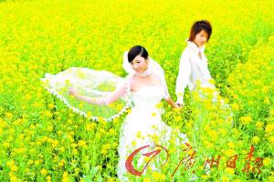 佛山市热门景点推荐_佛山市热门旅游景点介绍