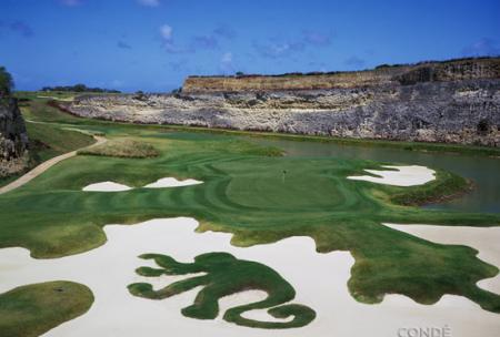 绿色猴子 绿色猴子