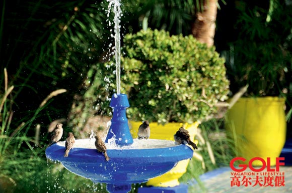 花园中,小鸟儿在喷泉边嬉戏 花园中,小鸟儿在喷泉边嬉戏