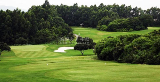 绿油油的球道 绿油油的球道