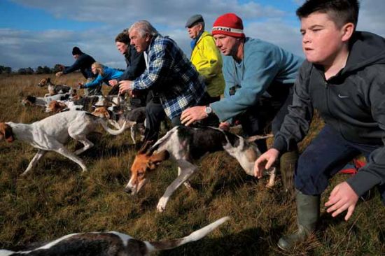 新西兰有着悠久的赛狗历史