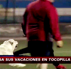 逗妹吐槽:佩佩绝学踹人不拿牌