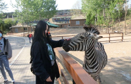 <em>逗妹</em>吐槽:太子威才是真大腿 科比教书豪闯社会