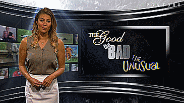 梦想还是要有,万一实现了呢?