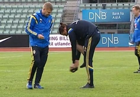 任性伊布把长裤剪成短裤(图)