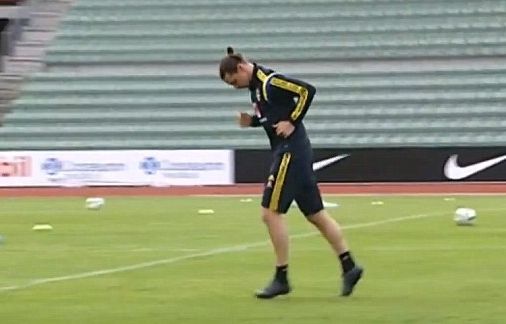 任性伊布把长裤剪成短裤(图)