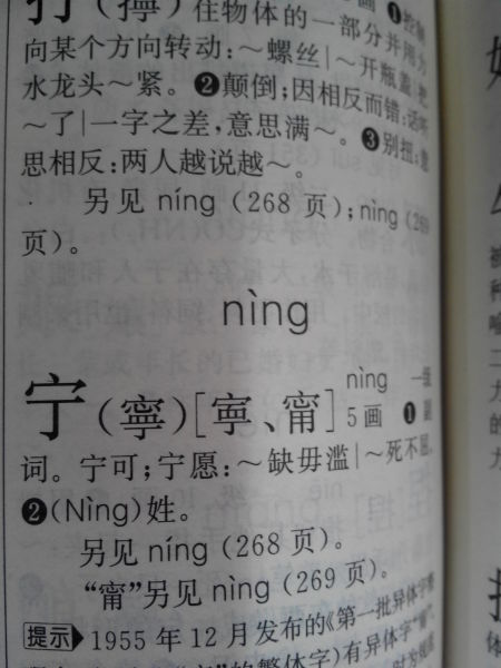 宁泽涛名字到底怎么读 四本字典给出两种答案 图