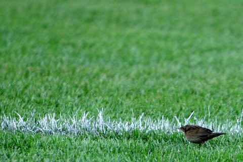 ͼ��-[���籭]�й�VS������С��Ҳ��ΪŮ������?