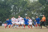 2011ȫ