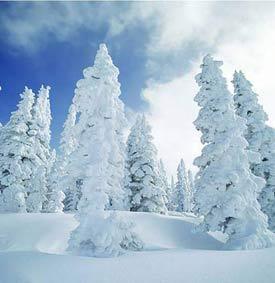 长白山洁白世界