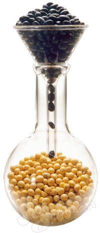 新知| 天然体香的诱惑