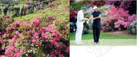 行路| 挥杆5洲击高球 探营全球 顶级高尔夫球场