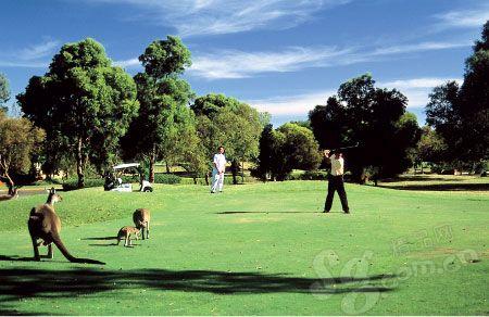 行路| 挥杆5洲击高球 探营全球 顶级高尔夫球场