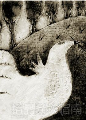 20种角度看诺贝尔奖