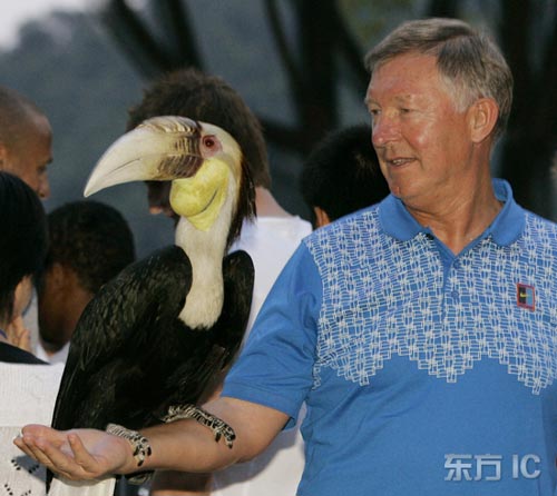 图文-曼联队员广州游览动物园 爵爷:有点像我…