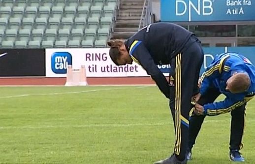 任性伊布把长裤剪成短裤(图)