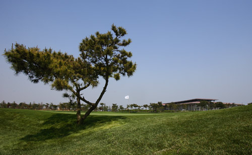 �����������ൺվ������̬�������ֲ��򳡽���