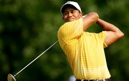 ����˾ͨ����������������������������һ��