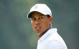 ����˾ͨ���������͵������ȴ�����������ĸ�