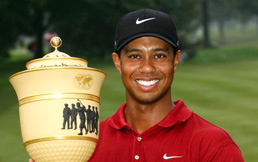 ����˾ͨ�������������ϻ�����8�����������