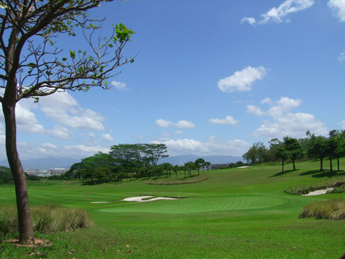 ��˾��ֲ��������Ϸ����������Ƽ����տ��迪ս