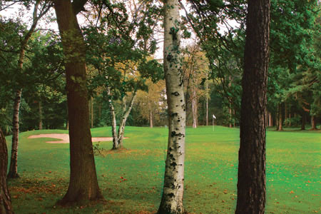 ͼ��-����߶�����֮�õ¹��ߺո߶�����ֲ�