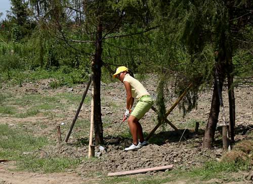 ͼ��-�����������Ϻ�վ�ڶ�������������λ