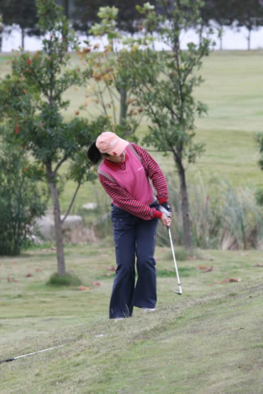 ͼ��-���ȫ���������ܾ���������е�����