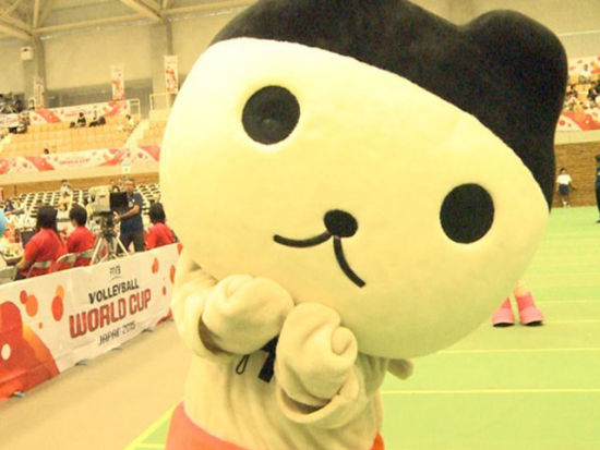 新浪排球的微博