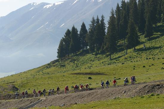 ͼ��-������ľ����·���г���������˼���