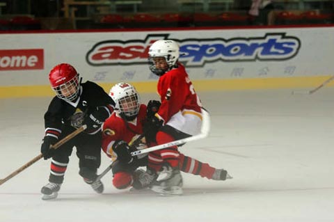 图文-香港2007世界五人冰球锦标赛 两个人打你