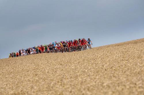 ͼ��-�������������������������������и����н�