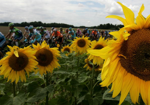 ͼ��-���������������������������տ��鳵�ֿ���