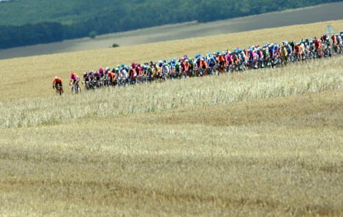 ͼ��-2007��������������������������ҰĨ����ɫ