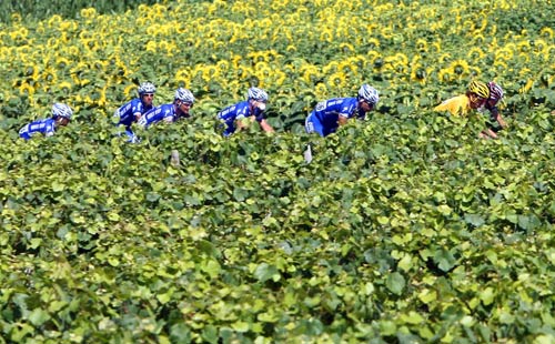 ͼ��-2007����������������������Ұ����ͻ����Ӱ