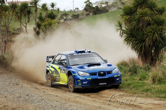 图文-WRC新西兰站 澳洲野兔阿特金森_赛车-W