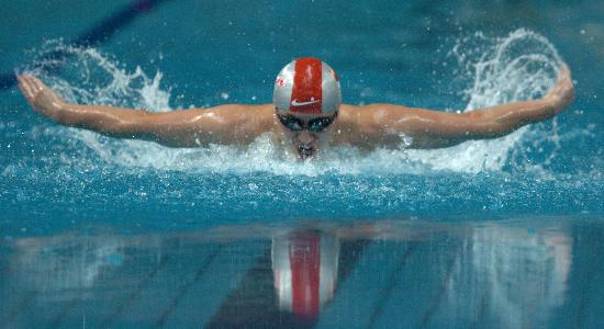 进行蝶泳比赛