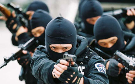 国际刑警组织秘书长罗纳德·诺布尔10日透露