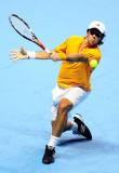 ATP�ܾ���������vs�ִ�˹��