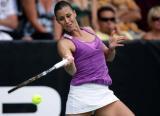 WTA¿ASBӢ