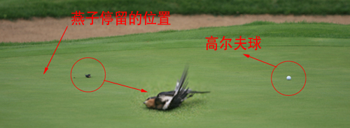 С��һ���غ��������ൺվ�κ����������(ͼ)