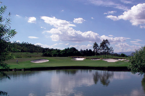 ��˾��ֲ��������Ϸ����������Ƽ����տ��迪ս