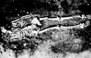 在丹麦中石器时代墓葬中发现的尸骸